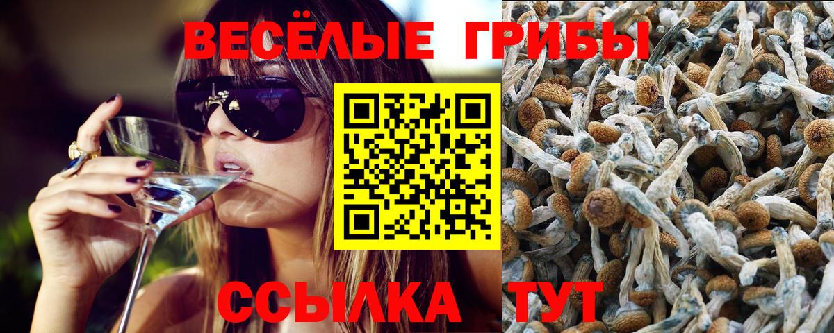 Менделеевск  Псилоцибиновые грибы MAGIC MUSHROOMS  Галлюциногенные грибы Magic Shrooms  Вход с VPN 